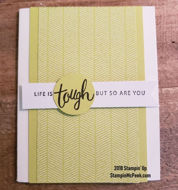 animalexpedition-outside