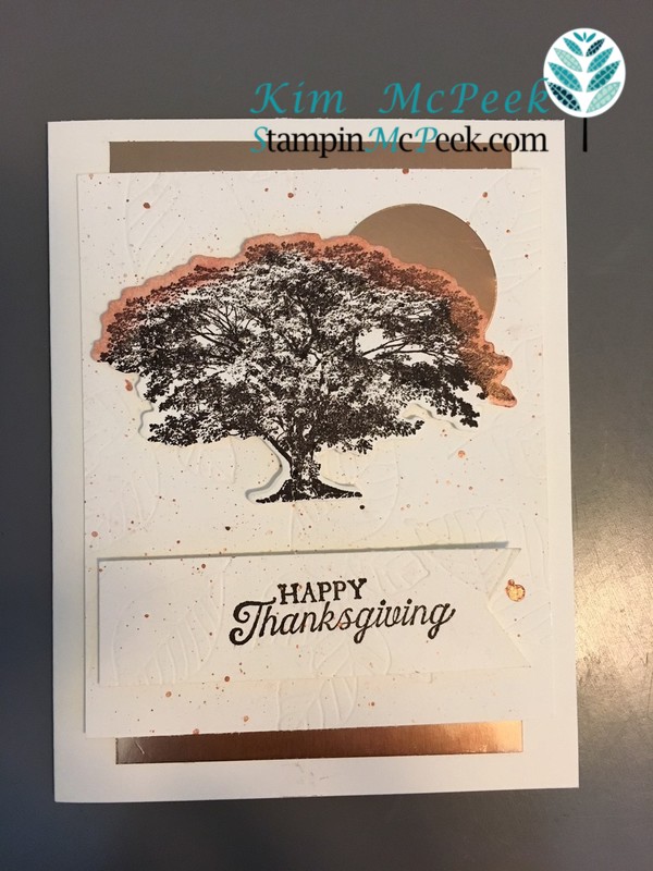 Rooted_In_Nature (1)